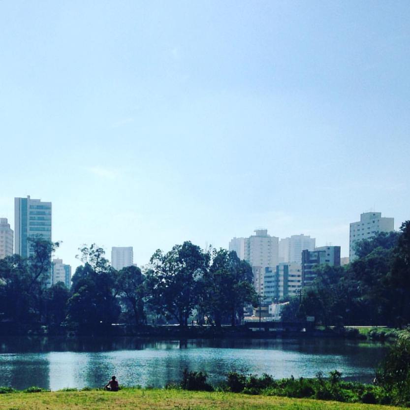 13558673_10208878112203117_9057612390592338748_o