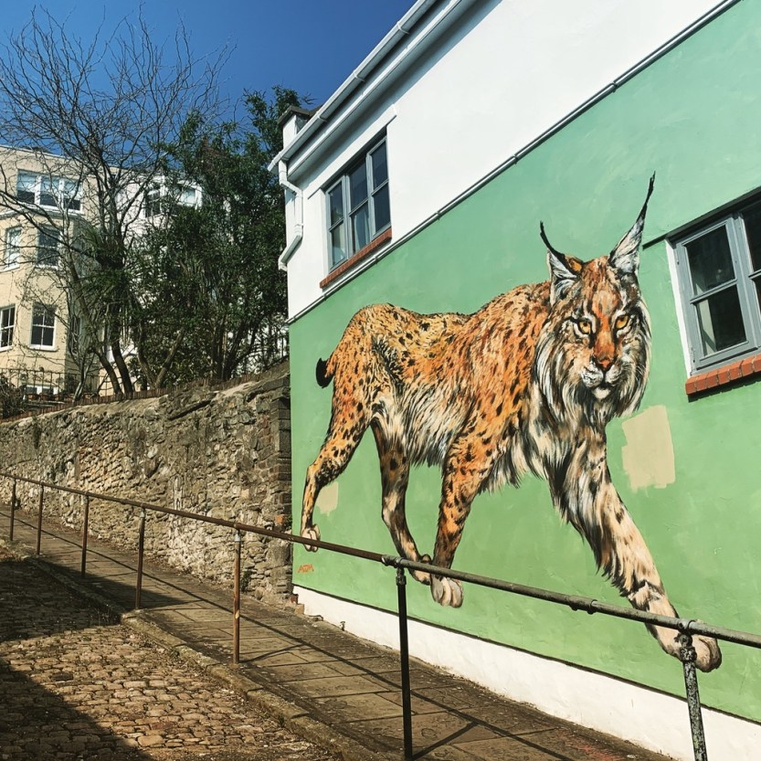 UNADJUSTEDNONRAW_thumb_e76f